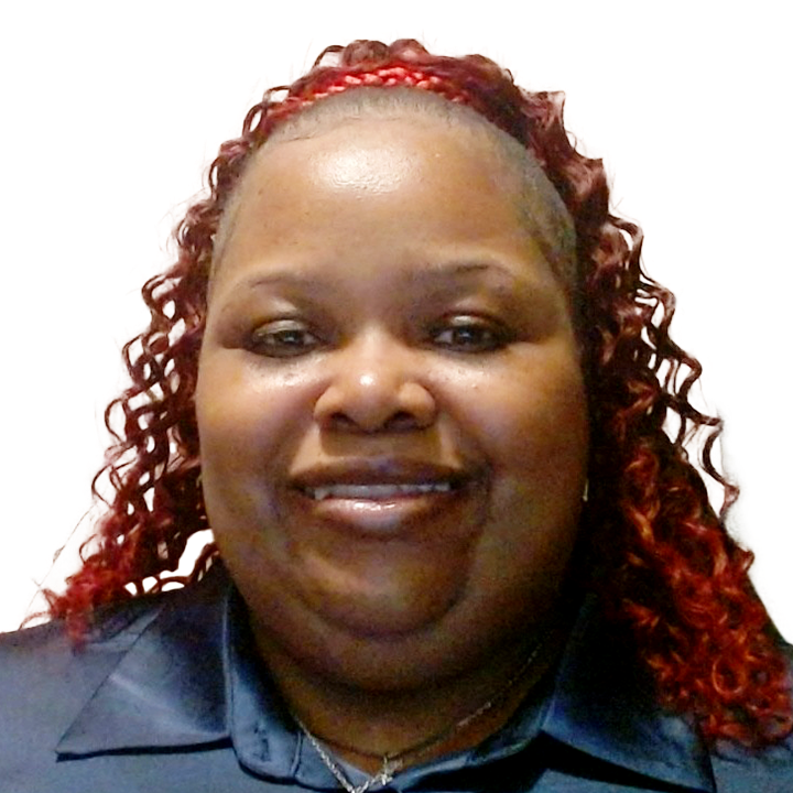 LAKISHA, TARTT, TurboTax Full Service tax expert in Sauk village, IL